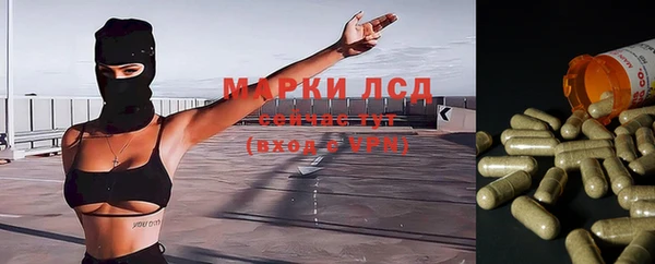 ALPHA PVP Болохово